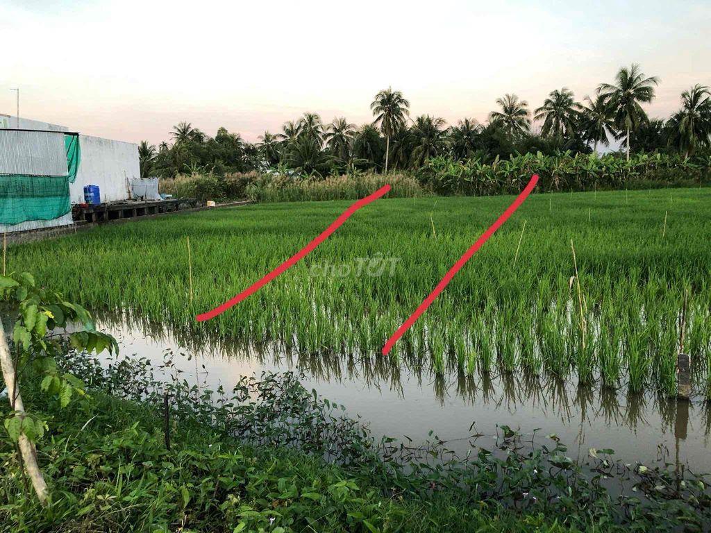 Đất mặt tiền lộ nhựa QH 20m gần cầu Kênh Ngang Đá Bạc