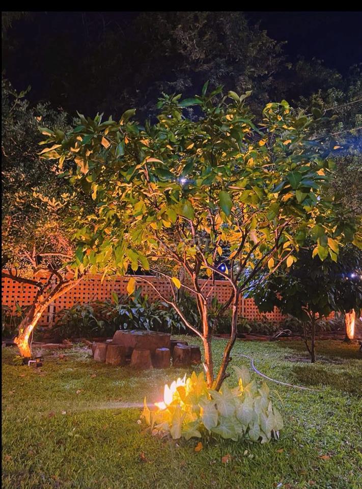 ĐỊNH CƯ NƯỚC NGOÀI – BÁN HOMESTAY KINH DOANH TỐT TẠI TRUNG TÂM TP. TN