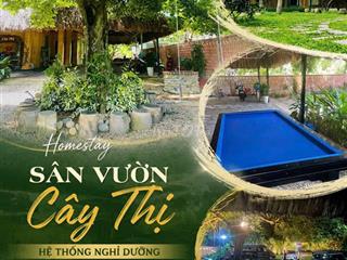 ĐỊNH CƯ NƯỚC NGOÀI – BÁN HOMESTAY KINH DOANH TỐT TẠI TRUNG TÂM TP. TN