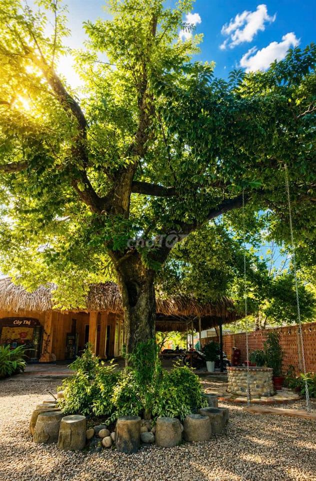 ĐỊNH CƯ NƯỚC NGOÀI – BÁN HOMESTAY KINH DOANH TỐT TẠI TRUNG TÂM TP. TN
