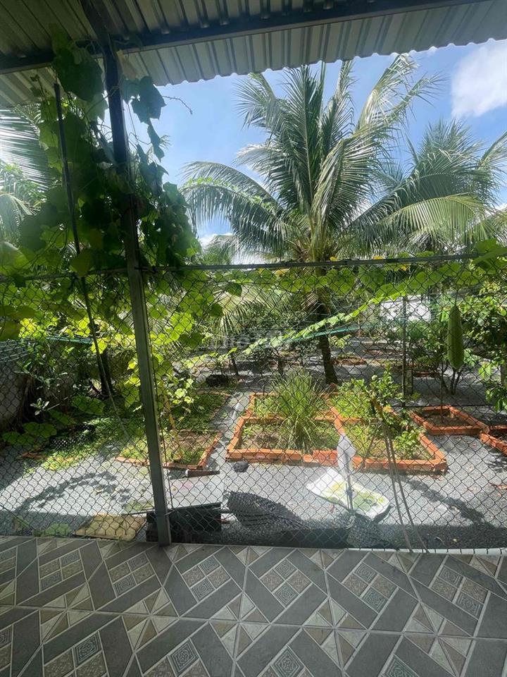Nhà vườn đẹp Bến Tre 794m2 có sổ hồng - Giá cả thương lượng