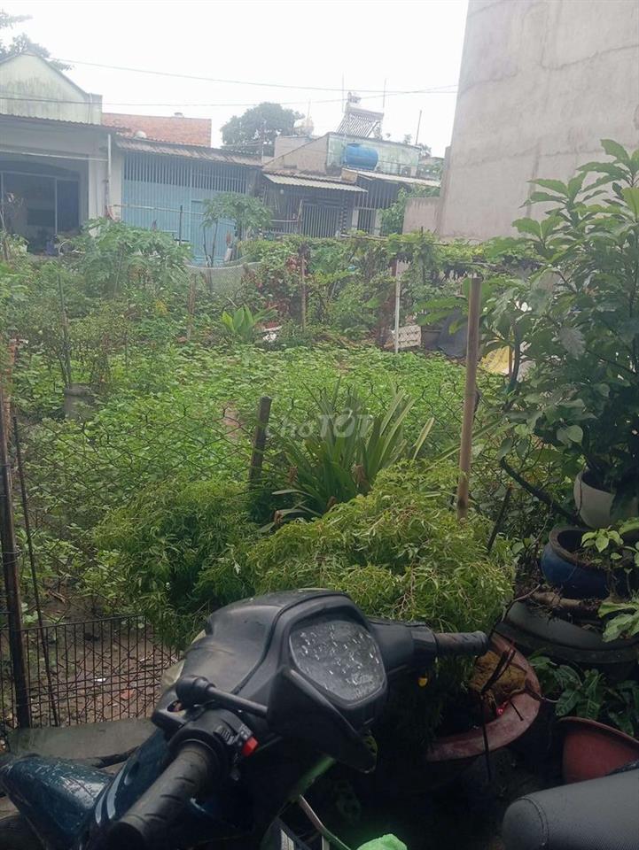 Chính chủ bán