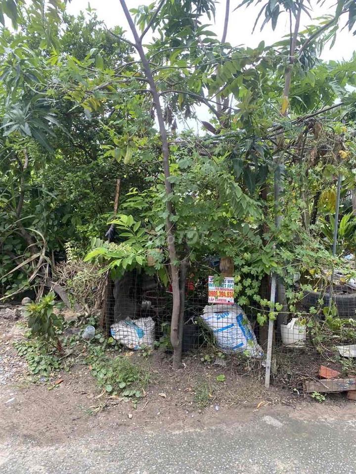 cần bán đất chính chủ