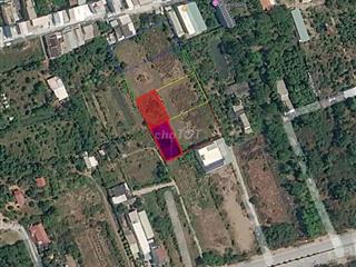 BÁN 5.500m2 ĐẤT CẦN GIỜ-VỊ TRÍ ĐẸP, GIÁ HỢP LÝ