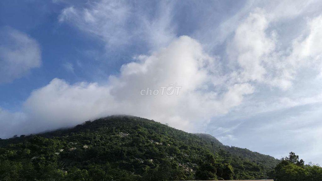 Đất ruộng cần bán