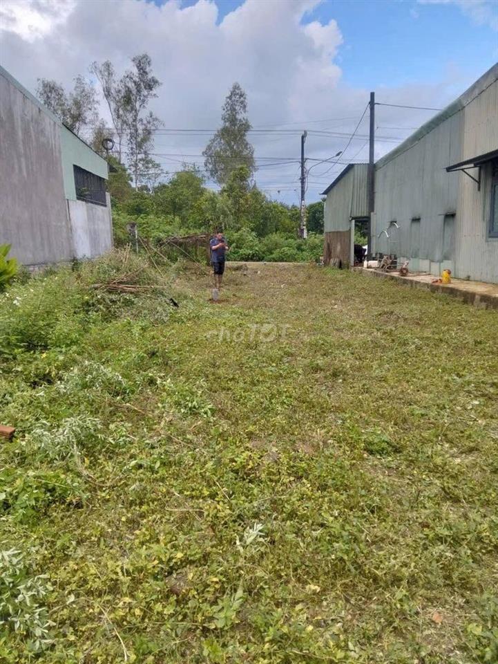 BÁN ĐẤT MẶT TIỀN ĐƯỜNG LÝ CHÍNH THẮNG – PLEIKU**