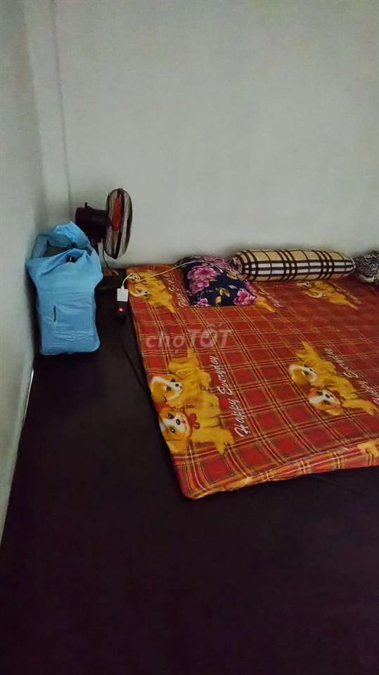 MÌNH CẦN BẠN NỮ Ở GHÉP ẠAA
