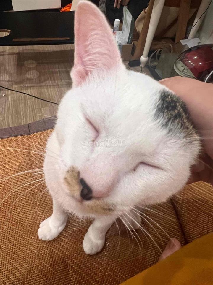 Share phòng ngủ cho nam