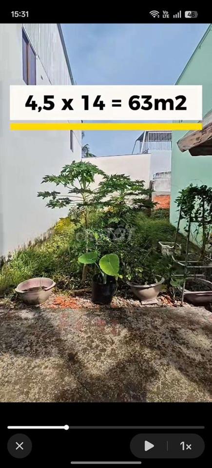 đất công chứng vi bằng 