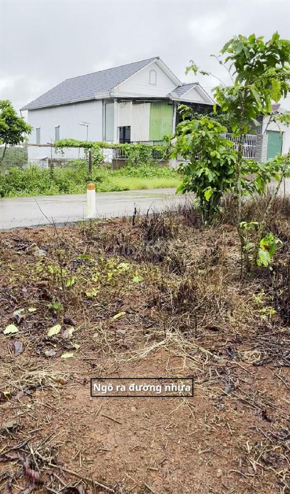 Cần bán rẫy cà phê xã  Đinh Trang Thượng, diện tích 11400m2 (1.14ha)
