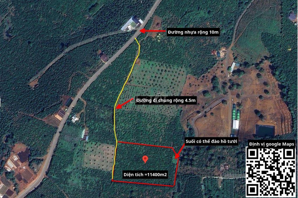 Cần bán rẫy cà phê xã  Đinh Trang Thượng, diện tích 11400m2 (1.14ha)