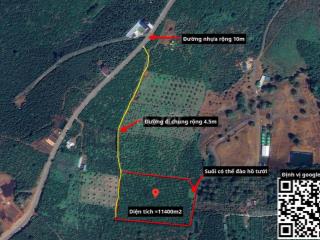 Cần bán rẫy cà phê xã  Đinh Trang Thượng, diện tích 11400m2 (1.14ha)