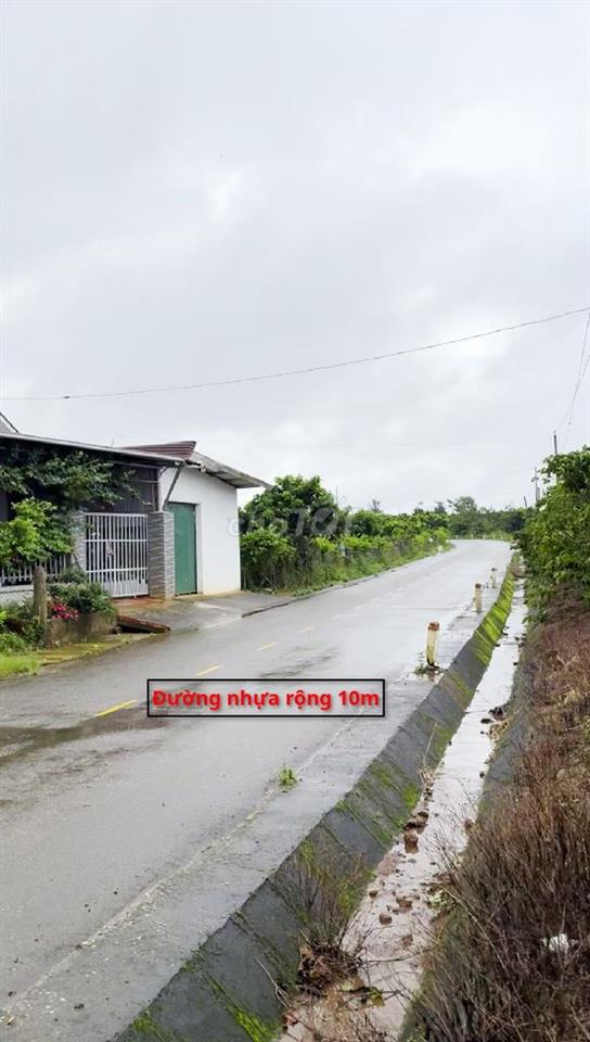 Cần bán rẫy cà phê xã  Đinh Trang Thượng, diện tích 11400m2 (1.14ha)