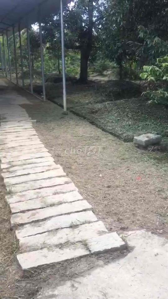 Bán đất ,Xuân Kiển , Hội Xuân 6.000m2 giá đầu tư