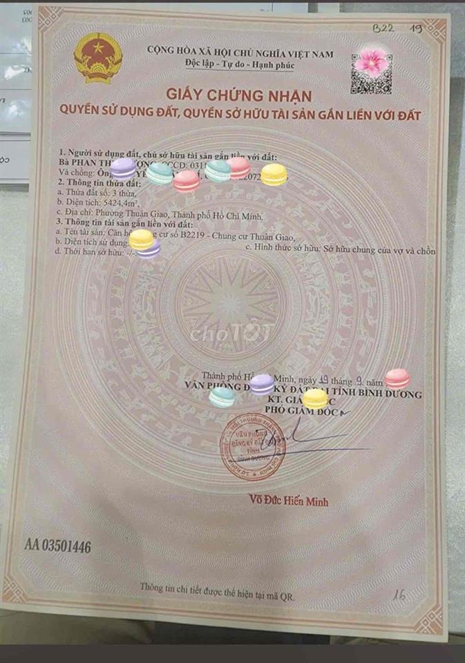 chung cư sổ vĩnh viễn đầy đủ tiện ích HCM