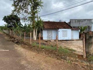 Cho thuê nhà cấp 4 củ 70 m2 có sân rộng thôn 1 xã Hoà Xuân tp Bmt