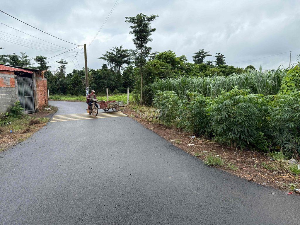 Bán đất DT 488m2, có 100m2 thổ cư