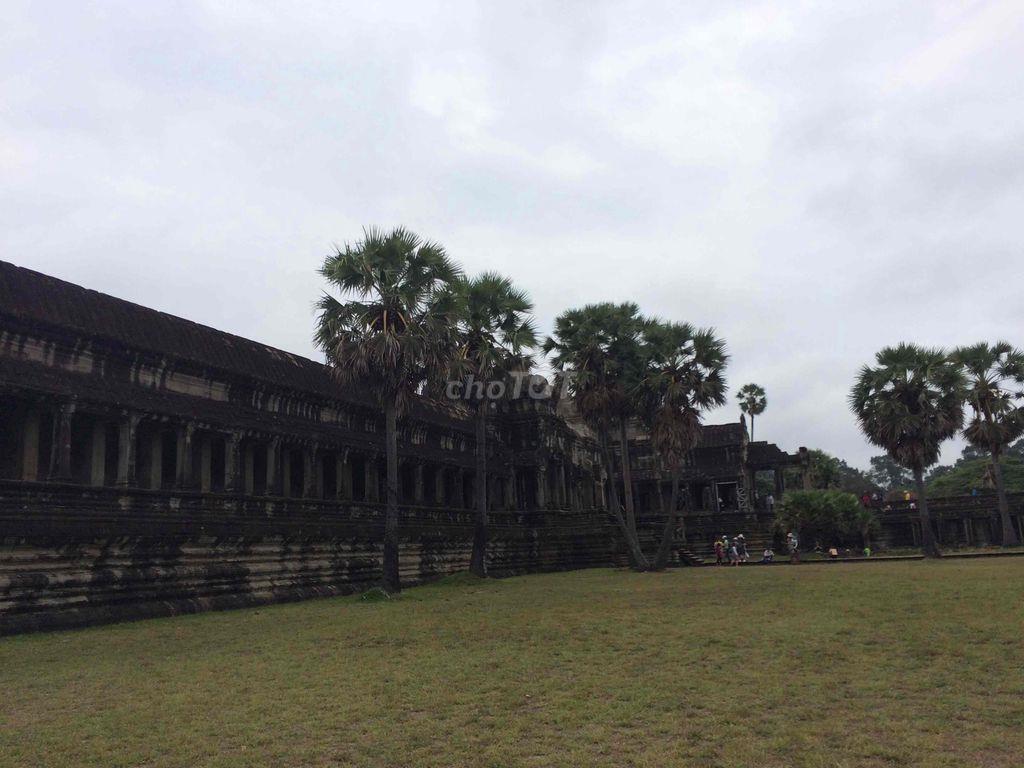 Bán đất DT 488m2, có 100m2 thổ cư