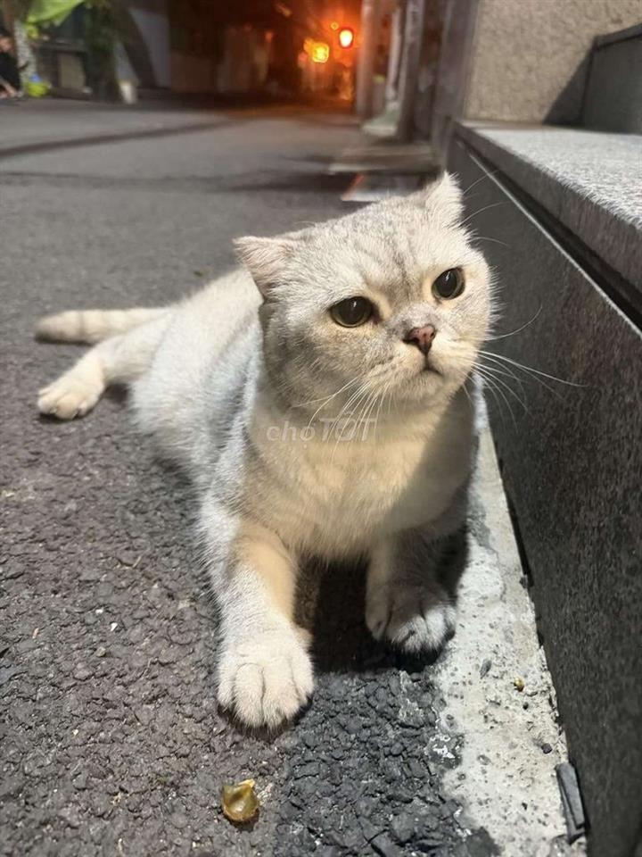 Bán nhà đẹp dọn vào ở ngay khu quận 3!!!💯