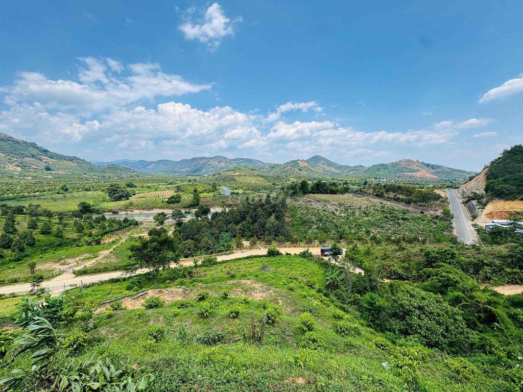 Vườn Cà Phê view đẹp săn mây, mặt tiền nhựa liên thông