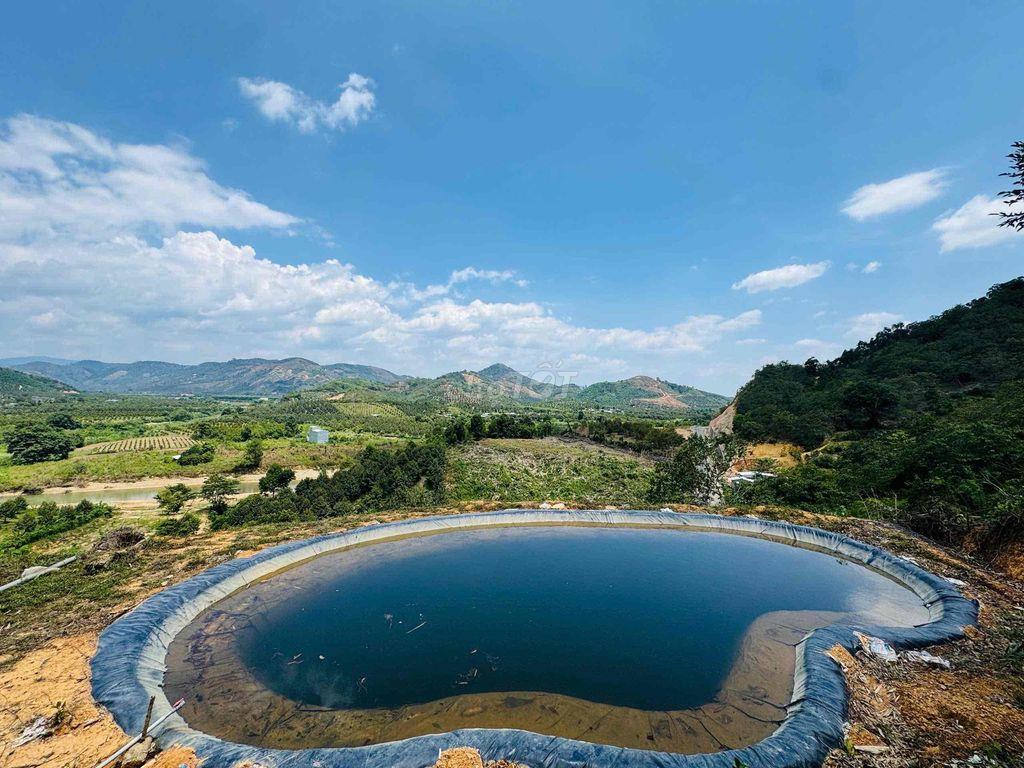 Vườn Cà Phê view đẹp săn mây, mặt tiền nhựa liên thông