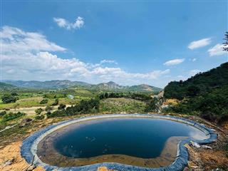 Vườn Cà Phê view đẹp săn mây, mặt tiền nhựa liên thông