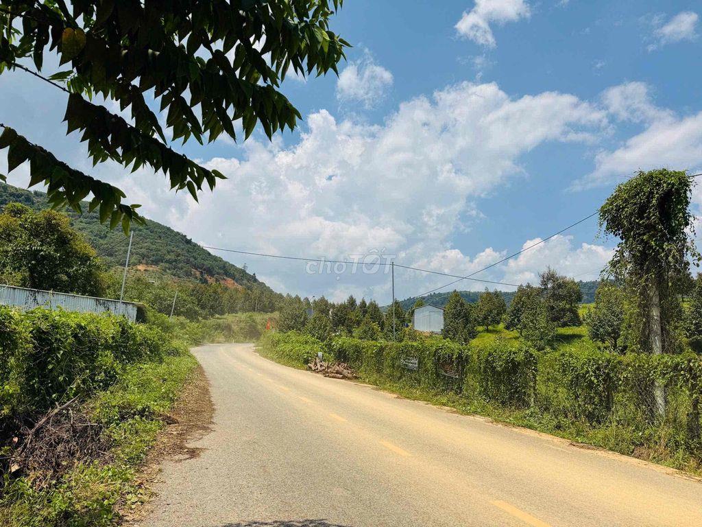 Vườn Cà Phê view đẹp săn mây, mặt tiền nhựa liên thông