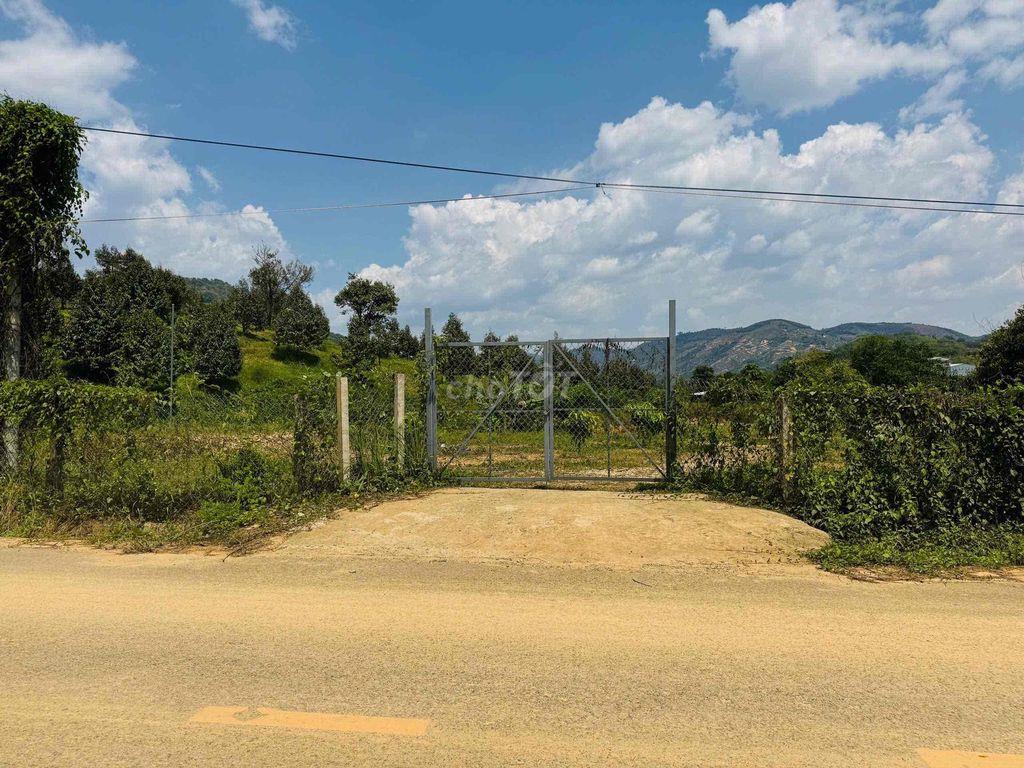 Vườn Cà Phê view đẹp săn mây, mặt tiền nhựa liên thông