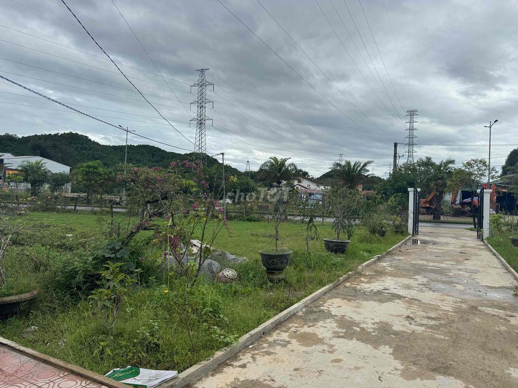 1 lô hoa hậu võ văn kiệt