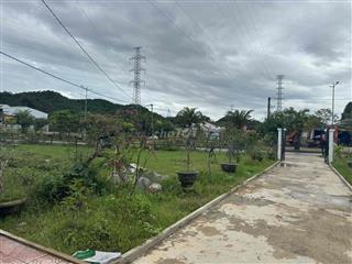 1 lô hoa hậu võ văn kiệt