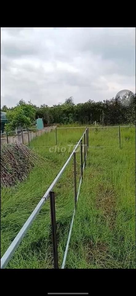 Bán đất Phú Sinh, ấp Rừng Sến, Mỹ Hạnh Bắc. Giá 250tr thương lượng