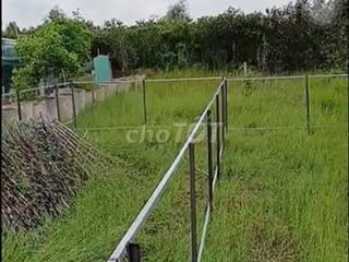 Bán đất Phú Sinh, ấp Rừng Sến, Mỹ Hạnh Bắc. Giá 250tr thương lượng