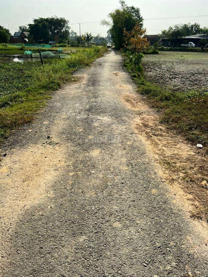 Đất đẹp mời bạn lụm nhaaaa