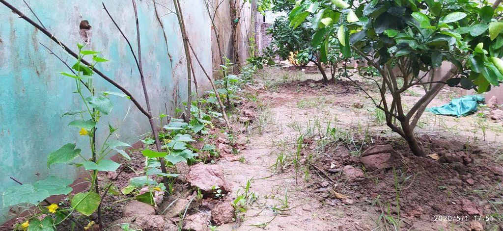 Bán đất tập thể Tam hưng
