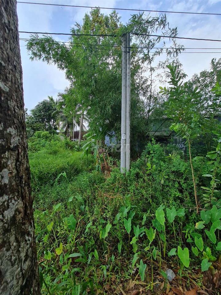 Bán Đất Tân Hòa Cần Thơ