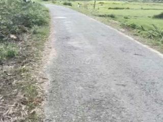 Bán đất giá rẻ