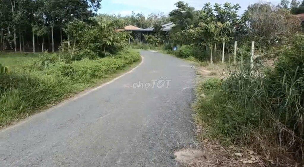 Bán đất giá rẻ