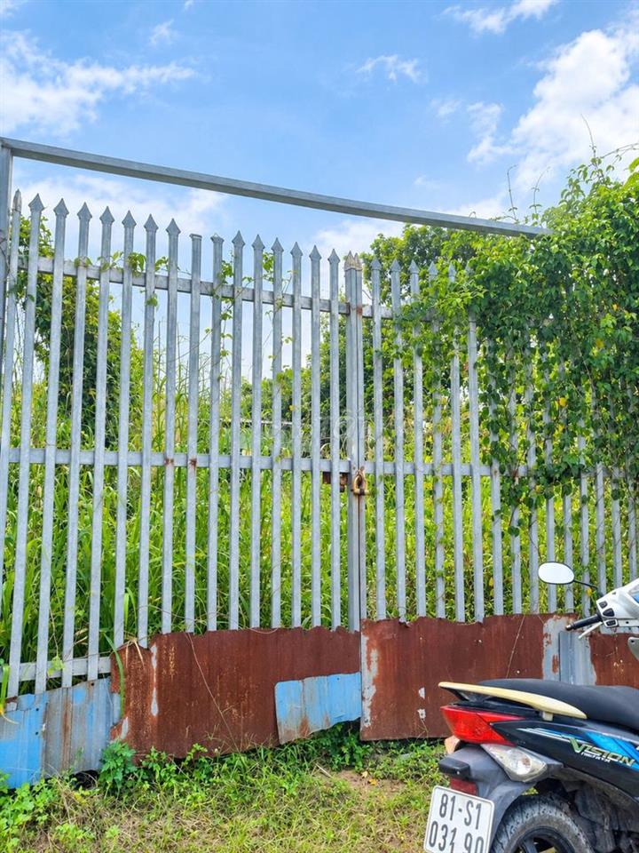Bán đất sổ riêng 480m2 gần chợ Tân Khánh giá 1.6 tỷ rẻ nhất khu vực