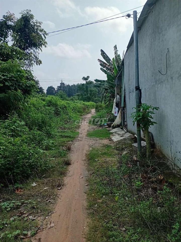 Bán đất chợ Phước Hòa A