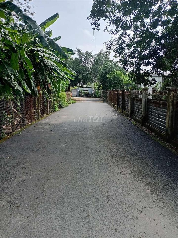 Bán đất chợ Phước Hòa A