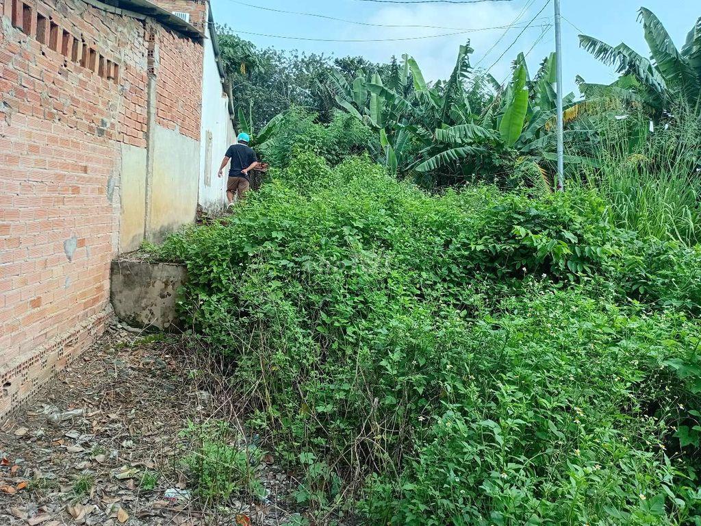 Bán đất chợ Phước Hòa A