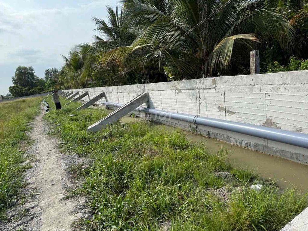 Bán đất MT vành đai TP Tân An/ Long An - TL834B