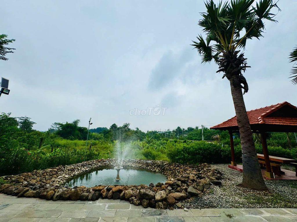 bán hoặc cho thuê mặt bằng 