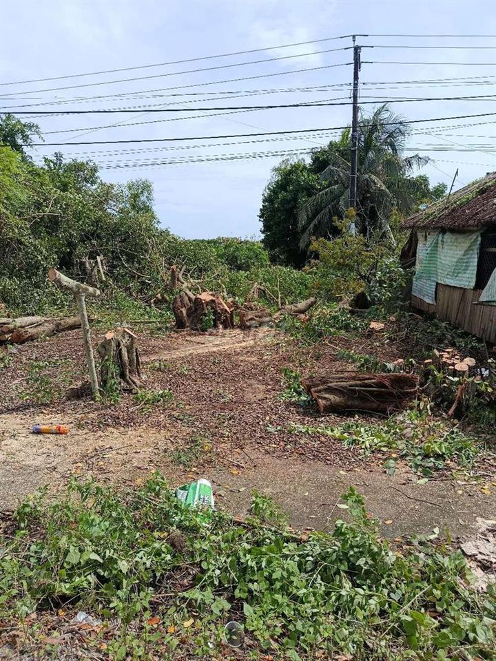 Bán đất Cà Mau xã Khánh An huyện U Minh