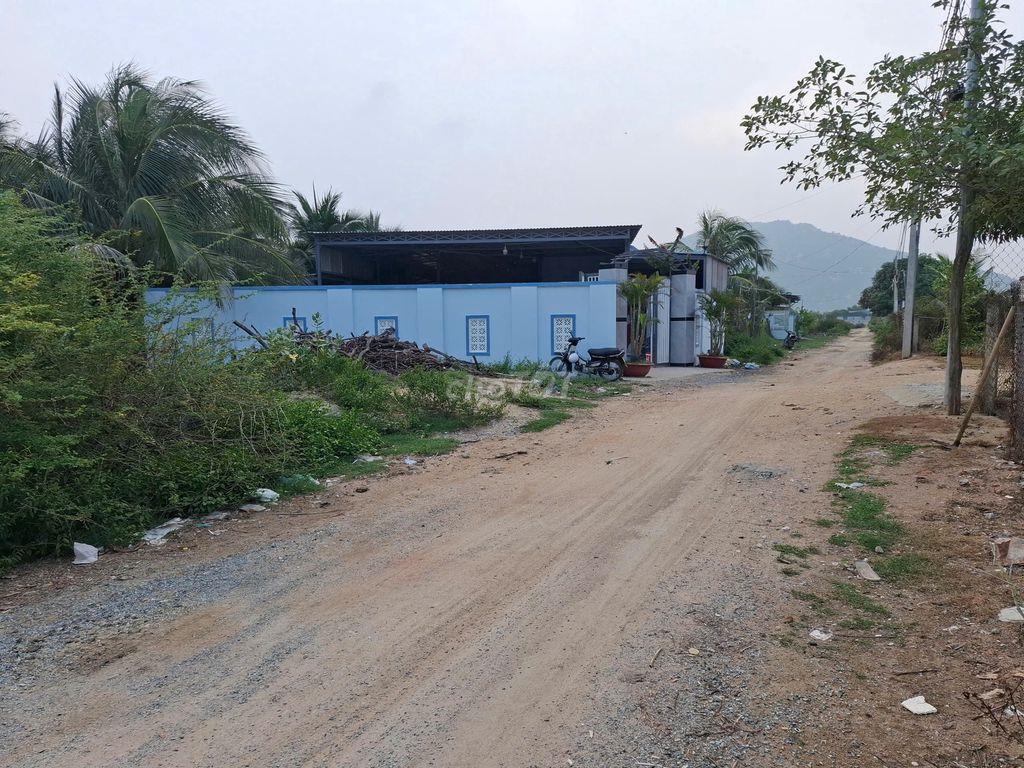 Cần bán gấp đất