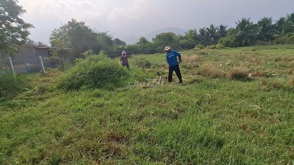 Cần bán gấp đất