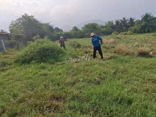 Cần bán gấp đất