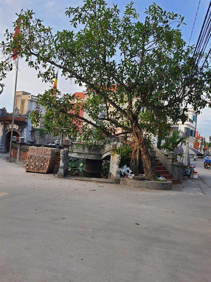 Đất thổ cư phường long biên