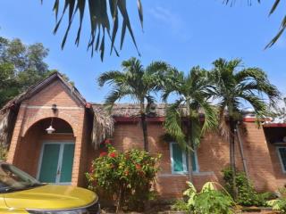 CHÍNH CHỦ HẠ GIÁ BÁN ĐẤT + NHÀ VƯỜN TÂN HIỆP 24 - BÌNH DƯƠNG