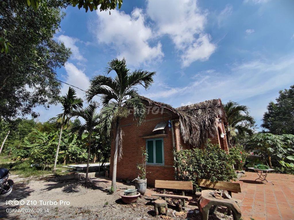 BÁN NHÀ VƯỜN 2.594M² – CÓ NHÀ 3 GIAN, HỒ BƠI, SÂN VƯỜN – TÂN HIỆP